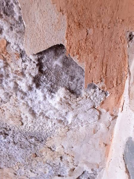 Bilan humidité avant rénovation à Salon-de-Provence : notre méthode