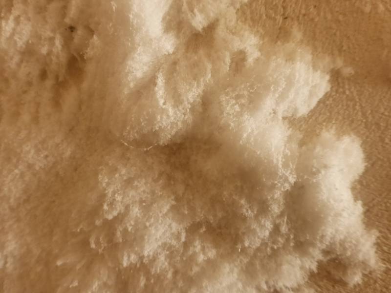 Neutralisation du salpêtre en suivant les recommandations de différents bureaux de contrôle, ETCB Midi Assèchement est là pour suivre le chantier de rénovation des enduits en région PACA